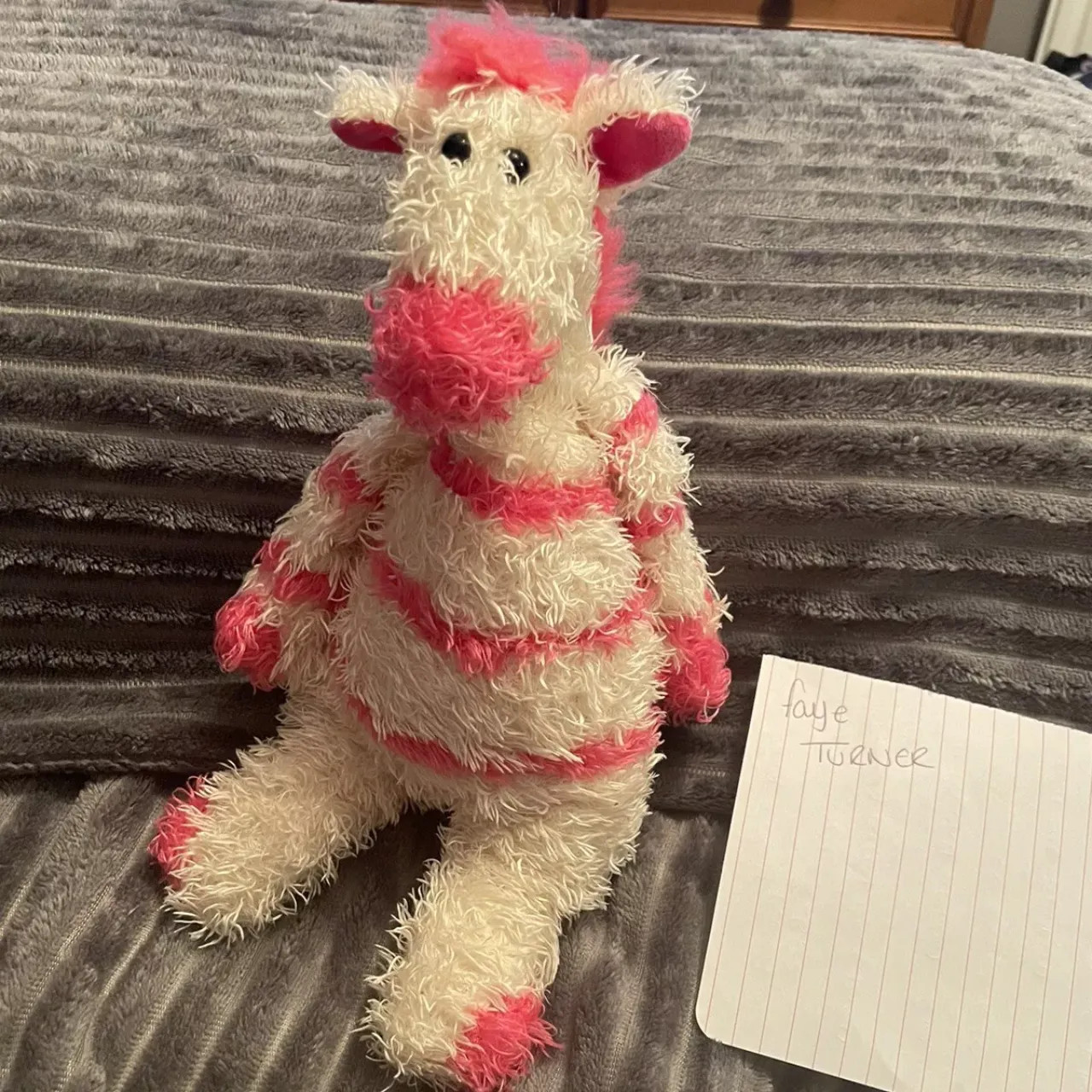 bashful Zebra Candy Stripe