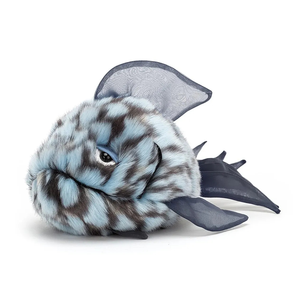 Grumpy Blue Fish