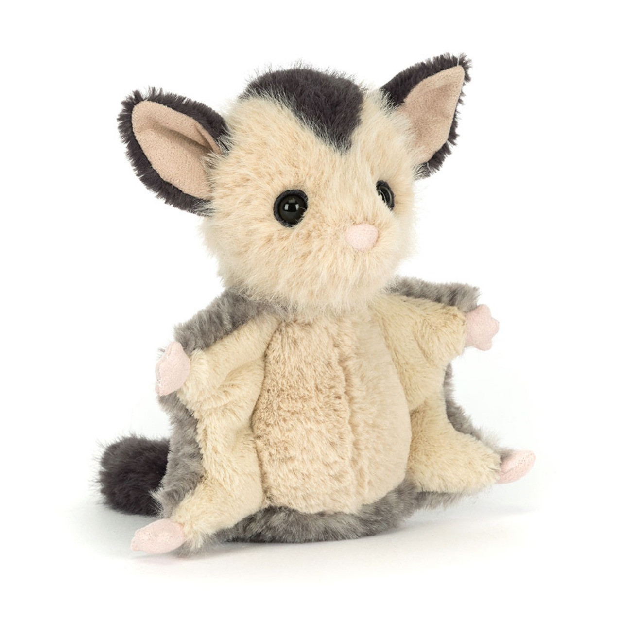 LolIy Sugar Glider