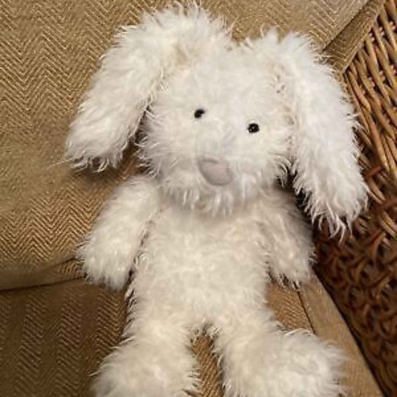 Angora bunny