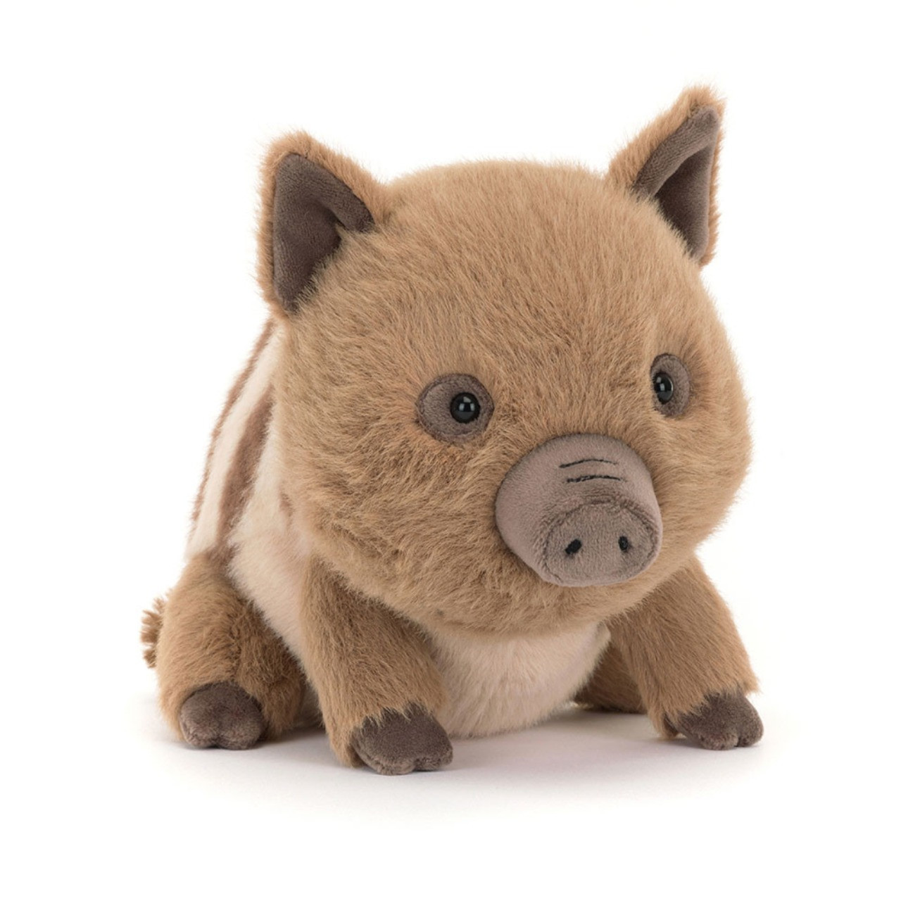 SwinIey Boar
