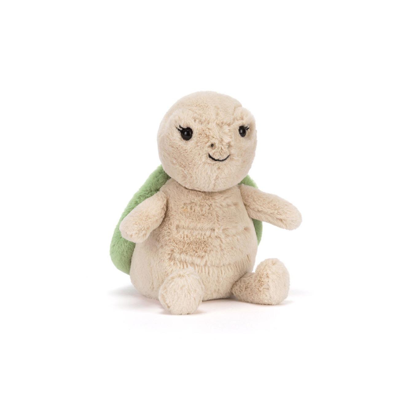 Thimble Turtle