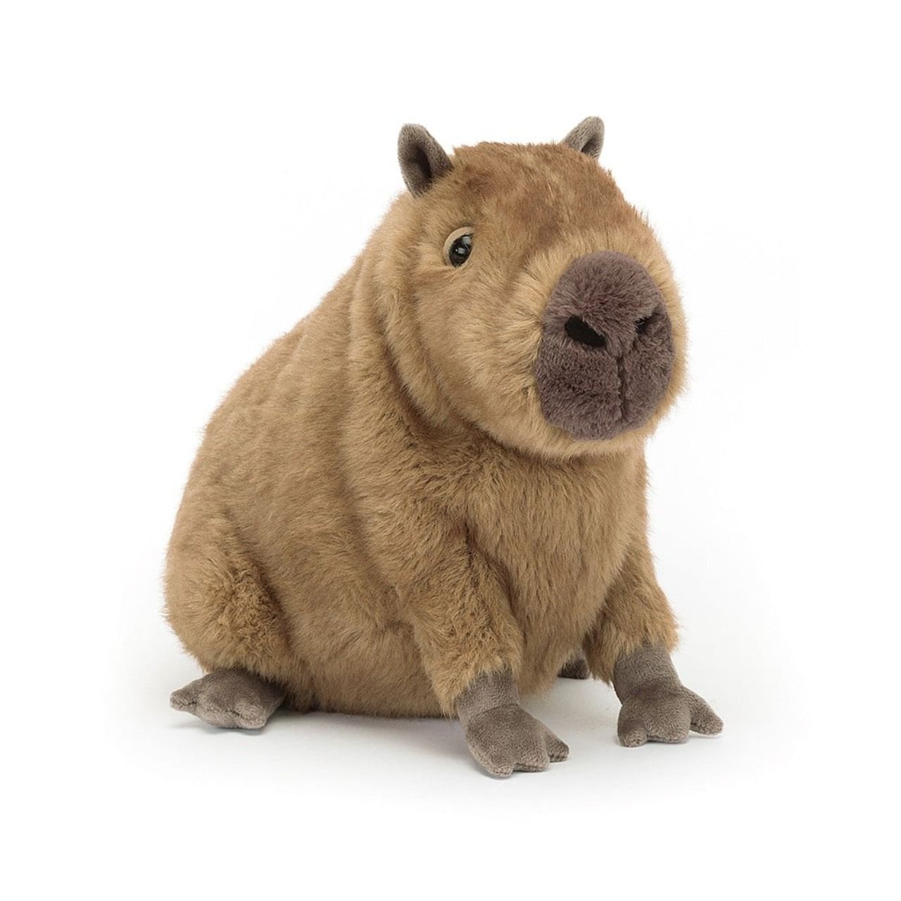 clyde-capybara-my-jellycat-collection