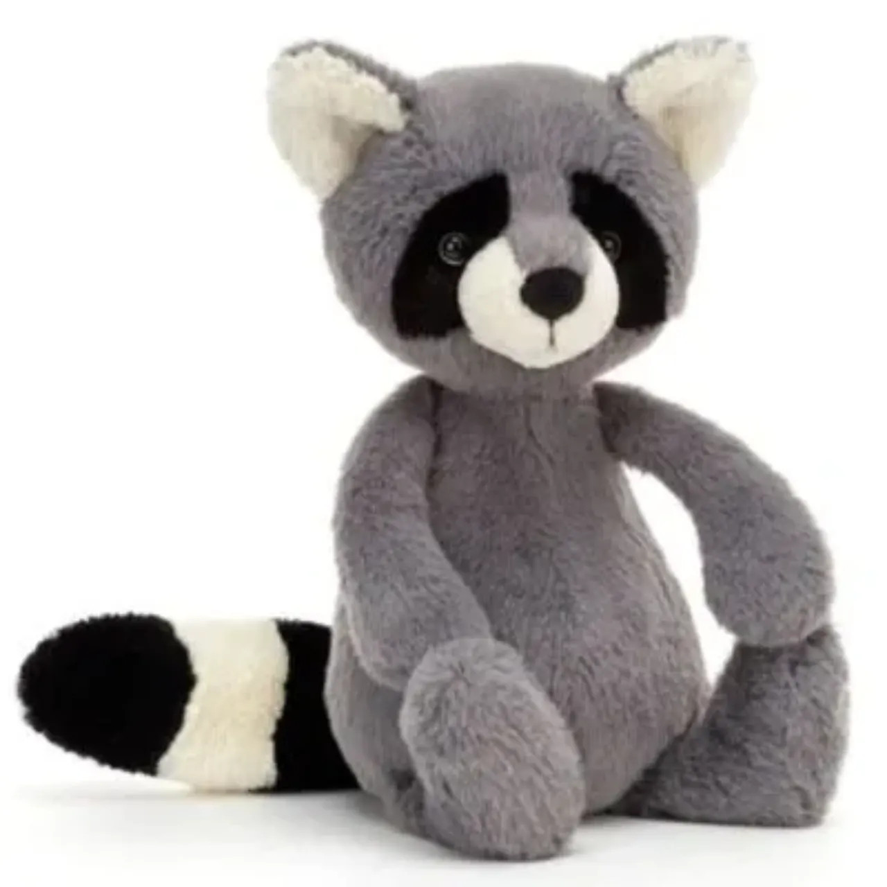 Bashful Raccoon
