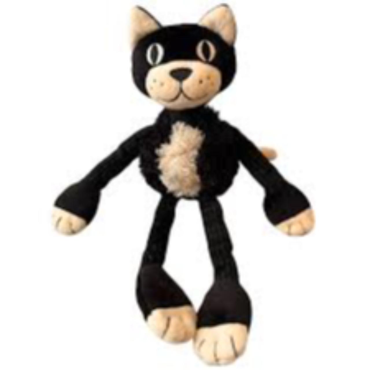 Gangly Cat