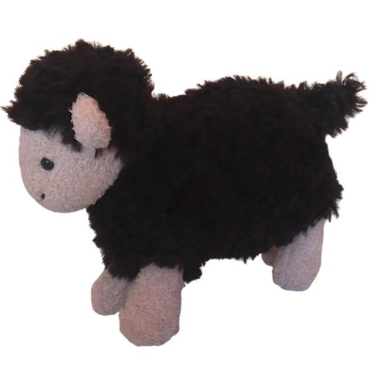 Black Sugar Sheep