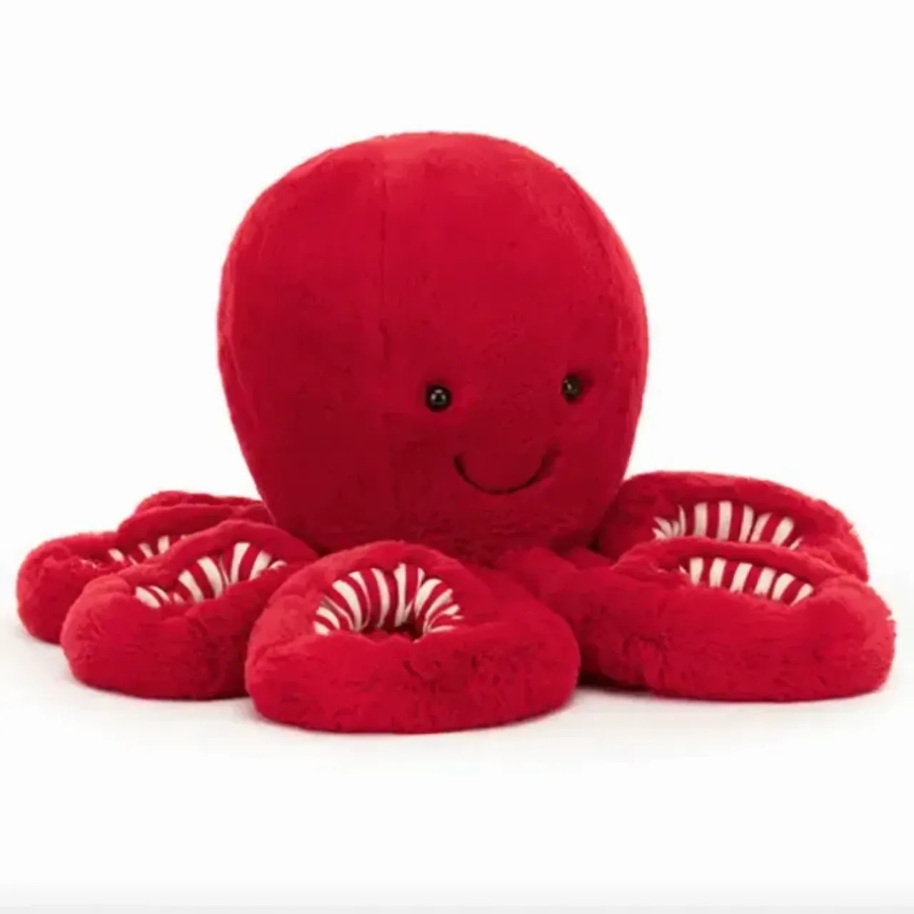 Image of Octopus cranberry variant 1