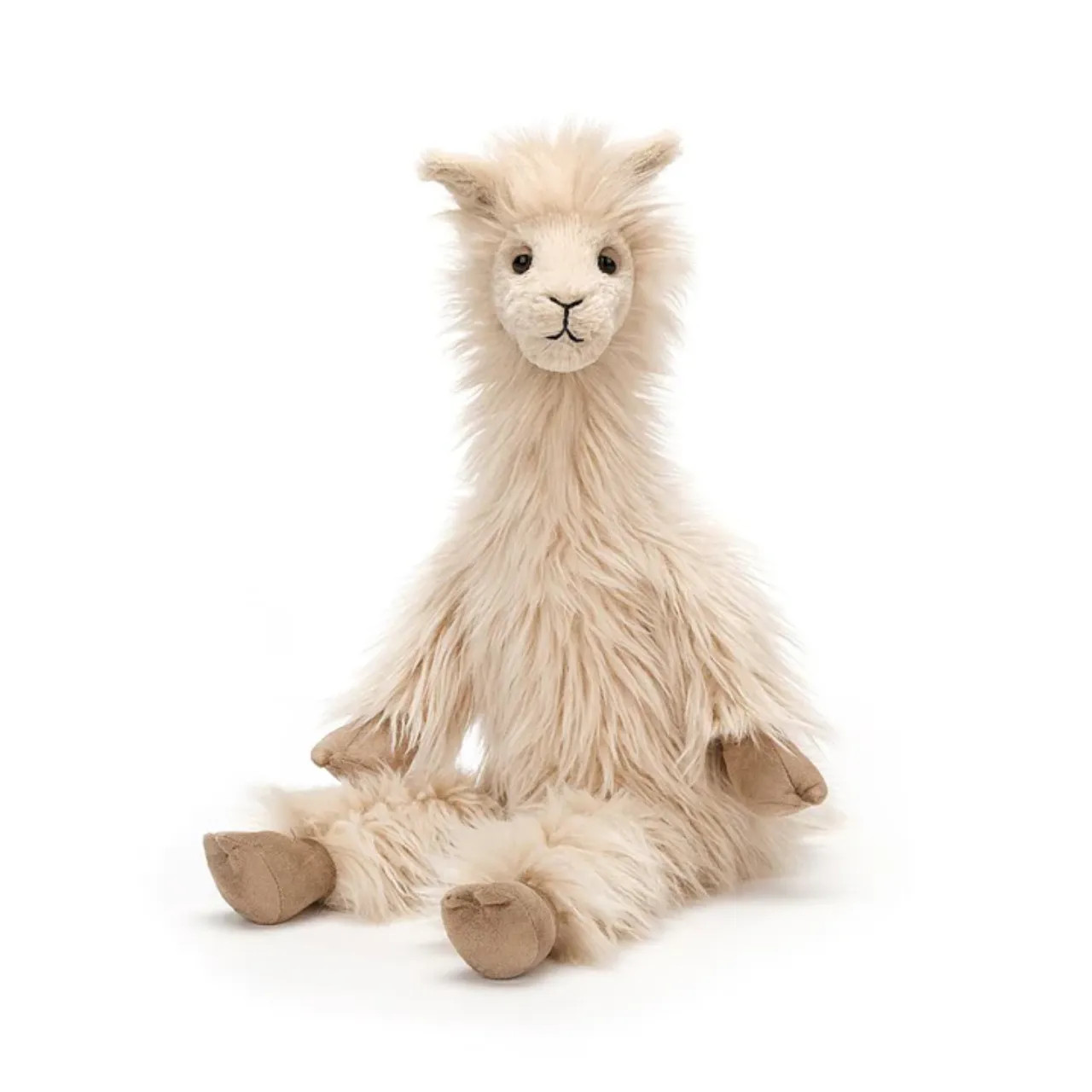 Image of Luis Llama variant 1