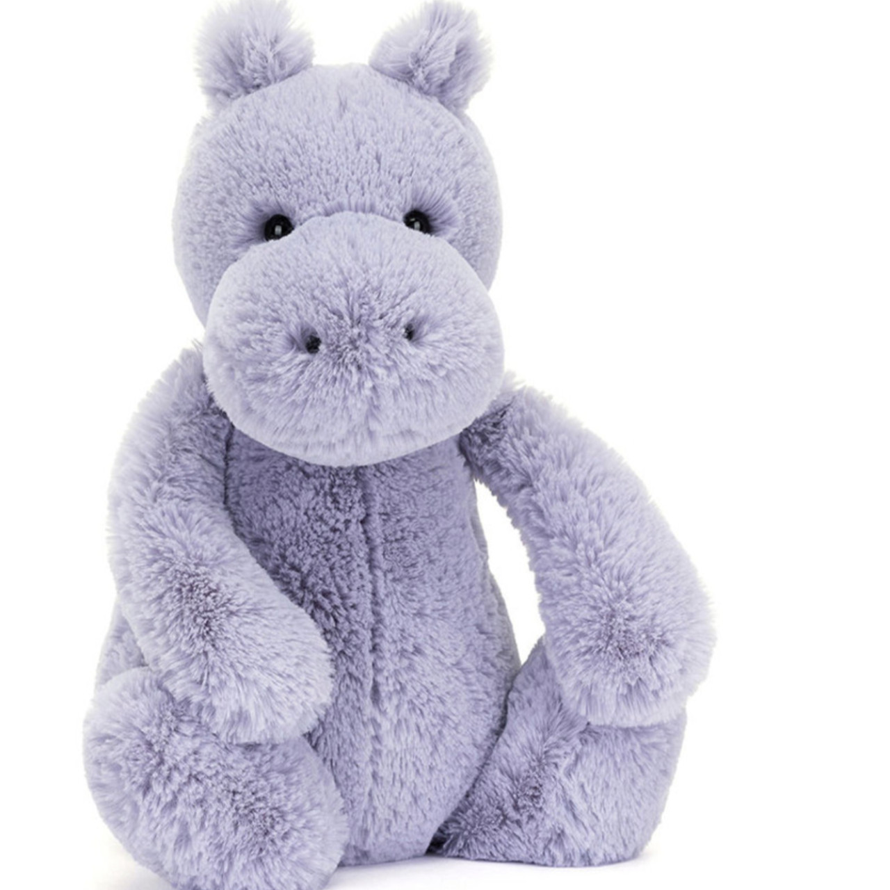 Blue Bashful hippo