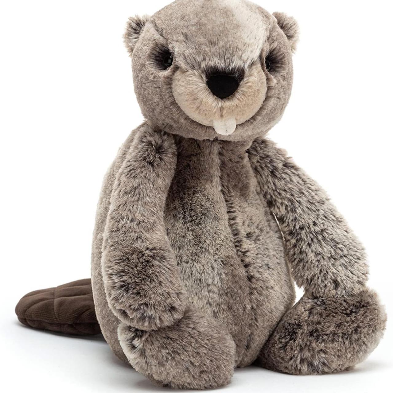 Bashful Beaver